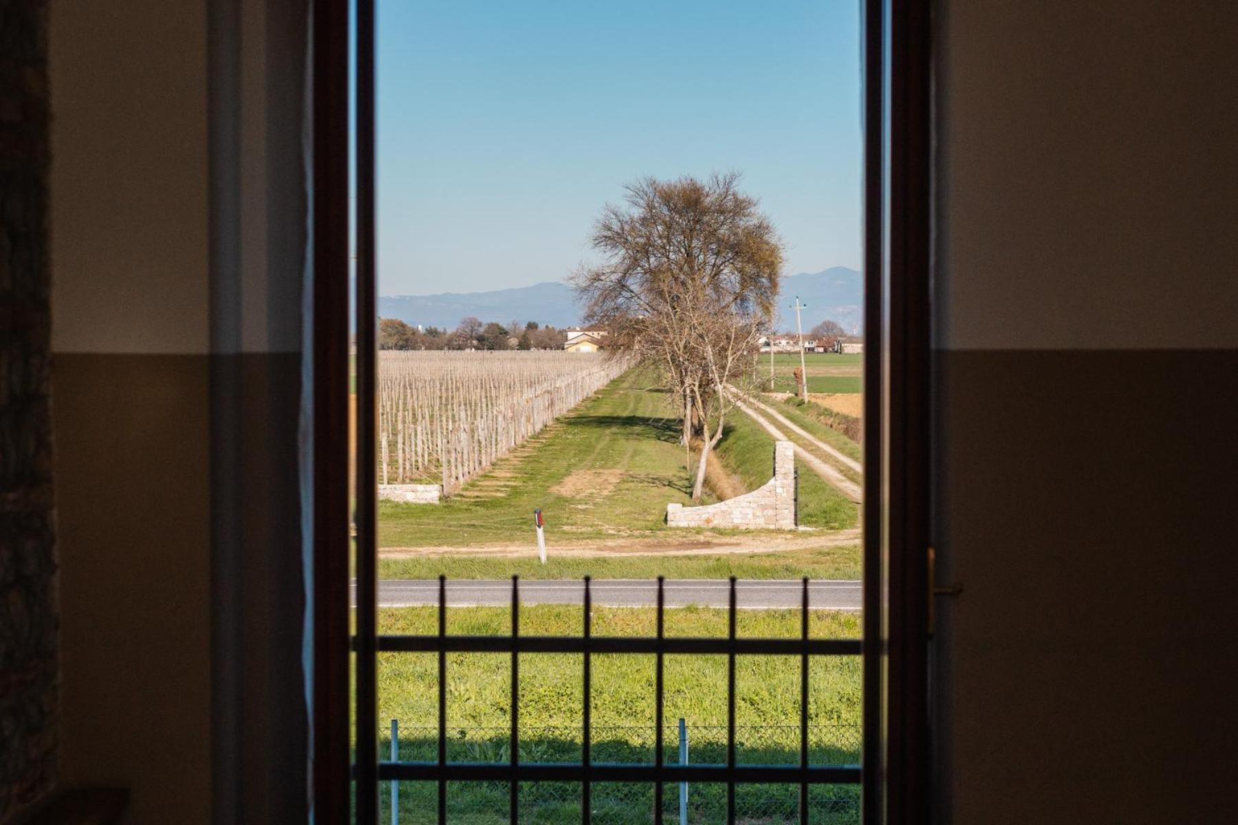 Agriturismo Mulino Delle Tolle Bagnario Arsa Eksteriør billede